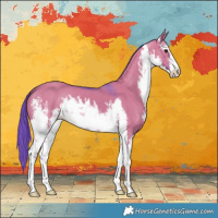 Horse Color:Watercolor White Spotted Smoky Grullo 