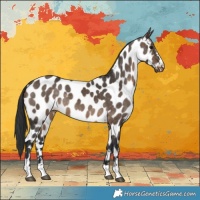 Horse Color:Brown Dun Near Leopard 