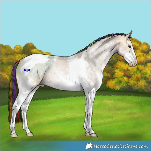 Horse Color:Painted White Spotted Buckskin Ice Dun Tobiano Rabicano