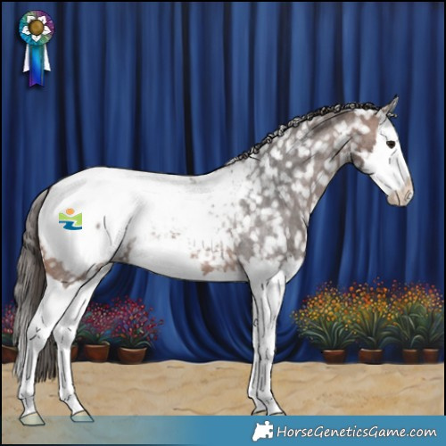 Horse Color:Brown Roan Splash Snowcap 