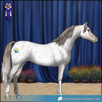 Horse Color:Brown Roan Dun Near Leopard 