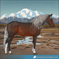 Horse Color:Silver Brown Tobiano 