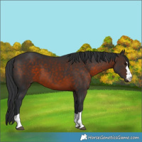 Horse Color:Brown 