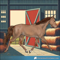 Horse Color:Red Dun