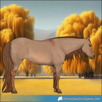 Horse Color:Red Dun