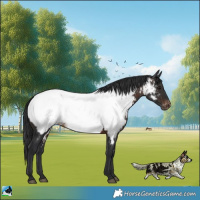 Horse Color:Brown Near Fewspot Rabicano 