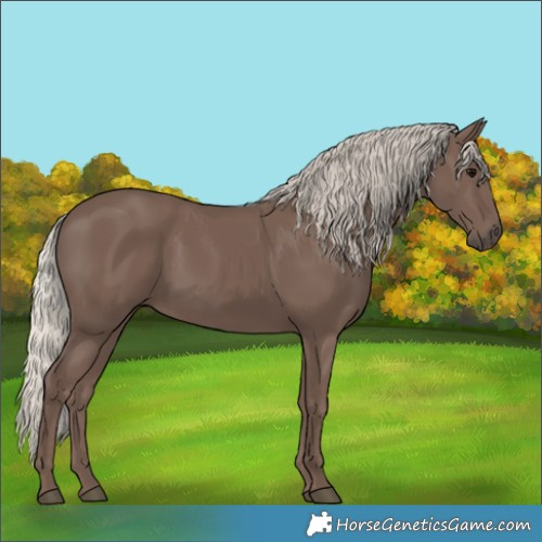 Horse Color:Silver Black 
