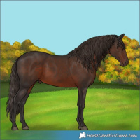 Horse Color:Liver Chestnut 