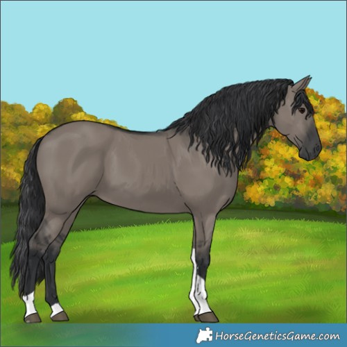 Horse Color:Grullo Tobiano 