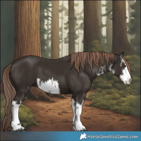 Horse Color:White Spotted Liver Chestnut 