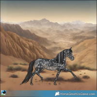 Horse Color:Black Appaloosa Rabicano 