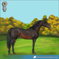Horse Color:Brown 