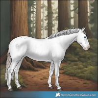 Horse Color:Liver Red Dun Frame 