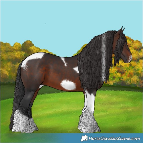 Horse Color:Brown Tobiano Frame 