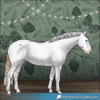 Horse Color:Liver Chestnut Frame 