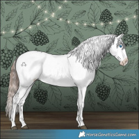 Horse Color:Liver Chestnut Frame 