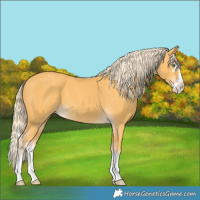 Horse Color:Gold Cream Champagne Splash 