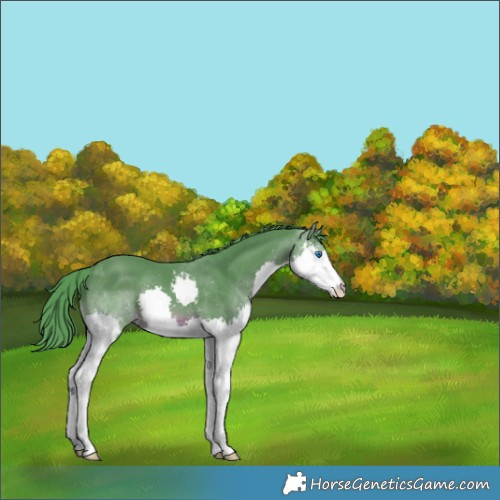 Horse Color:Watercolor Liver Chestnut Splash