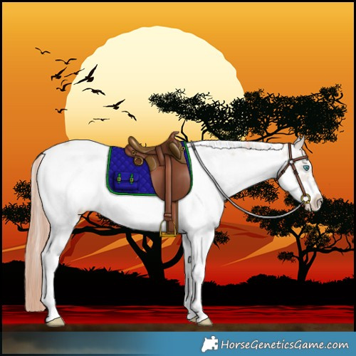 Horse Color:White Spotted Classic Champagne Ice Dun Splash Varnish Rabicano 