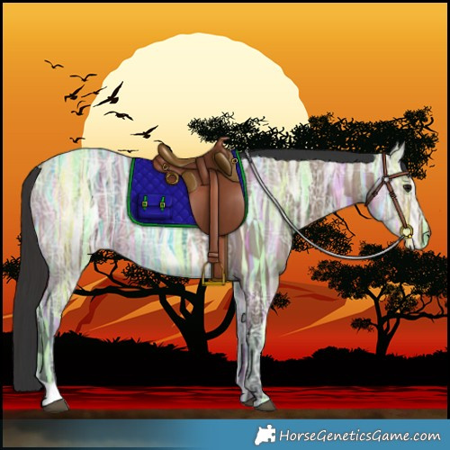 Horse Color:Brown Ice Dun Rabicano 
