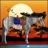 Horse Color:Buckskin Ice Rabicano