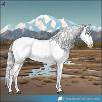 Horse Color:Silver Brown Frame 