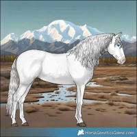 Horse Color:Silver Brown Frame 