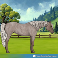 Horse Color:Silver Blue Roan 