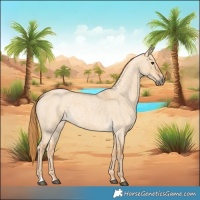 Horse Color:Red Dun Roan 