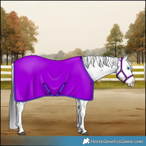 Horse Color:Black Frame 