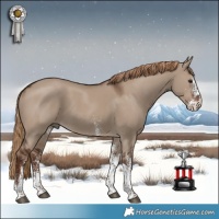 Horse Color:White Spotted Liver Red Dun Tobiano Rabicano