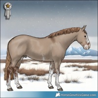 Horse Color:White Spotted Liver Red Dun Tobiano Rabicano