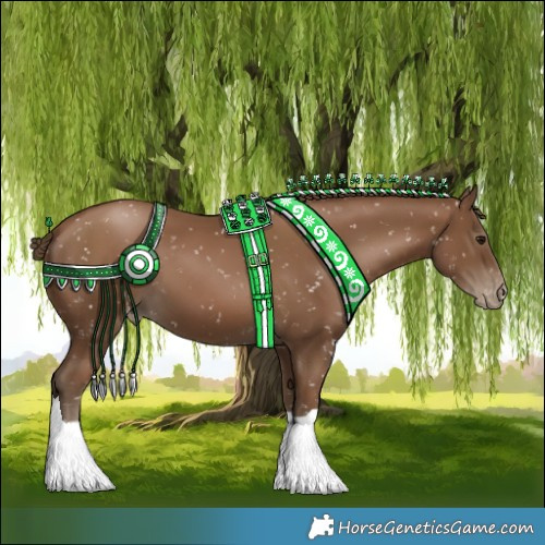 Horse Color:Gray Black Pearl Appaloosa