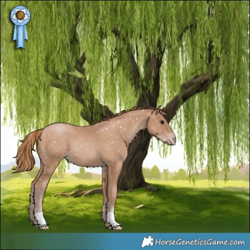 Horse Color:Black Pearl Snowflake Varnish