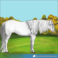 Horse Color:Black Frame 