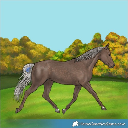 Horse Color:Silver Black 