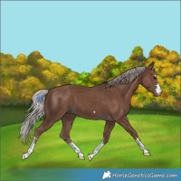 Horse Color:Silver Black 
