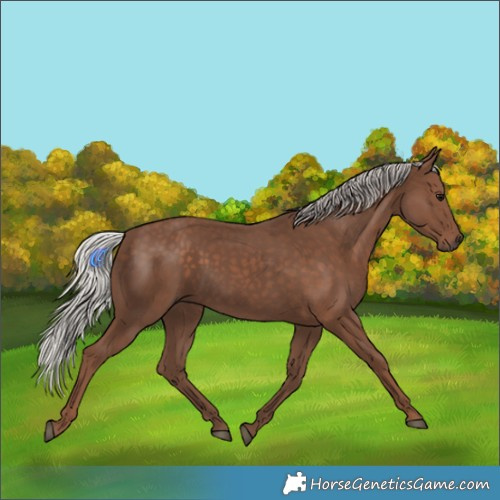 Horse Color:Silver Black 