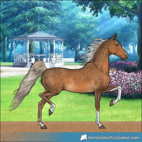 Horse Color:Chocolate Palomino Tobiano Rabicano 