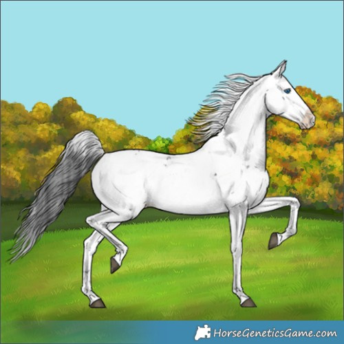 Horse Color:Black Frame
