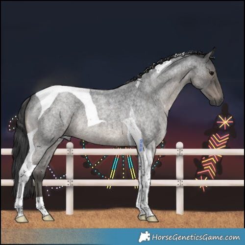 Horse Color:Blue Roan Tobiano 