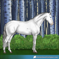 Horse Color:Liver Chestnut Frame