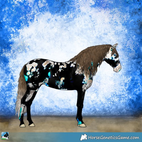 Horse Color:Buckskin Ice Onyx Sabino Splash Frame Appaloosa 