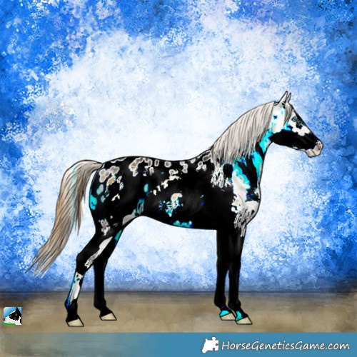 Horse Color:Buckskin Ice Onyx Sabino Splash Frame Appaloosa