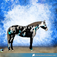 Horse Color:Buckskin Ice Onyx Sabino Splash Frame Blanket