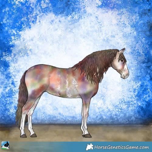 Horse Color:Nacre Red Onyx Sabino 