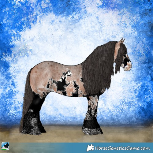Horse Color:Bay Roan Splash 