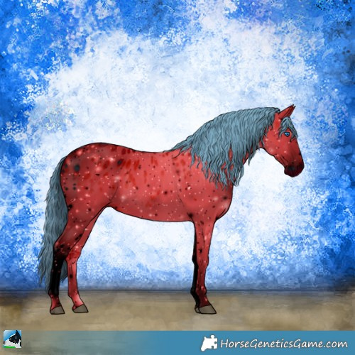 Horse Color:ERROR: UNKNOWN ANOMALY