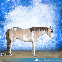 Horse Color:White Spotted Brown Dun Varnish