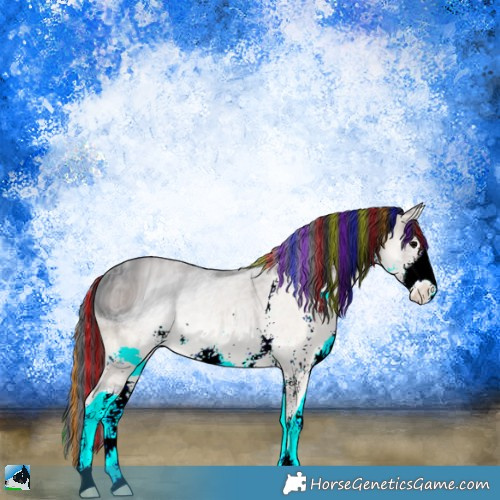 Horse Color:ERROR: UNKNOWN ANOMALY